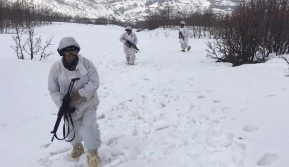 Tunceli'de terör örgütlerinin 'kış üslenmesi'ne ağır darbe