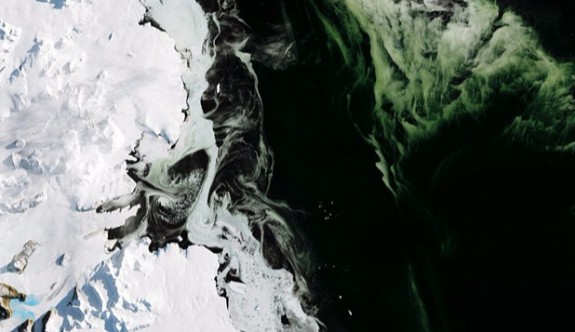 Antarktika'daki 'yeşil buzul'un gizemi çözüldü