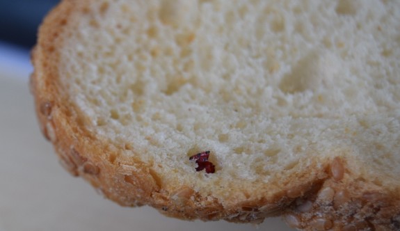 Ekmekten böcek çıkan işletmeye ceza