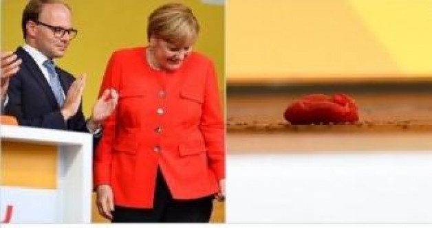 Merkel'e Domatesli Saldırı