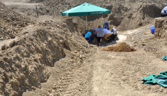 Paşaköy'de kayıp kazıları başladı