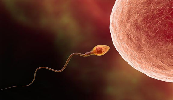 Sperm sayısını azaltan 6 durum