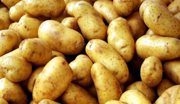 TÜK sofralık patates satışına başlıyor