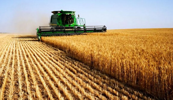"Son 15 yılda ülkedeki tarım arazileri yaklaşık 20 bin dönüm azaldı"