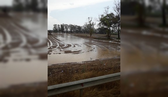 Yaz yağmurları çiftçiyi perişan ediyor