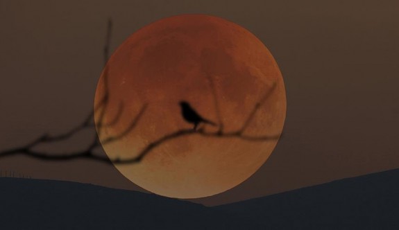 Yüzyılın en uzun 'Kanlı Ay' tutulması Cuma günü yaşanacak