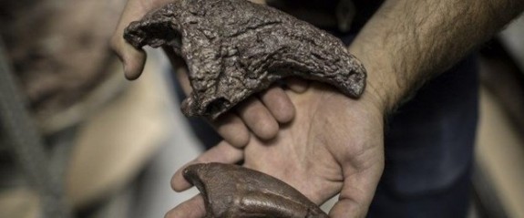 Moğolistan'da 120 milyon yıllık dinozor fosili bulundu