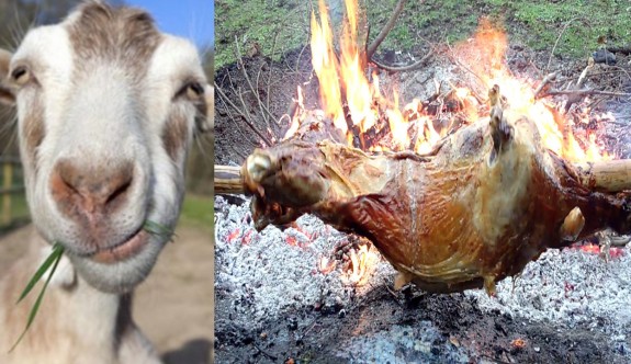 Sahibinin 20 bin euro’sunu yiyen keçi kızartıldı