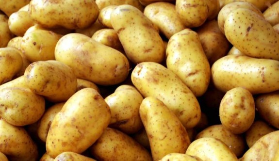 Tarım Dairesi'nden patates üreticilerine uyarı