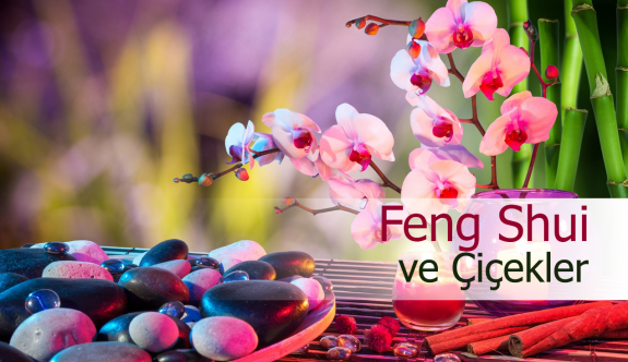 Feng Shui'ye göre çiçeklerin anlamları