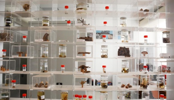 YDÜ’den bilim insanlarına ışık tutacak bir müze daha