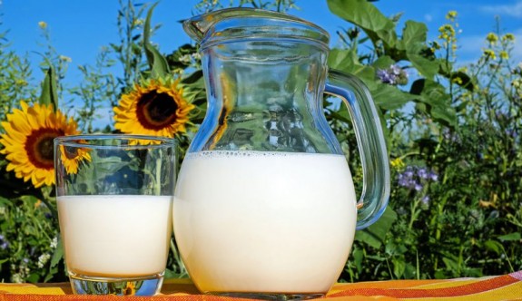 Laktozsuz Süt Hakkında Bilmeniz Gerekenler