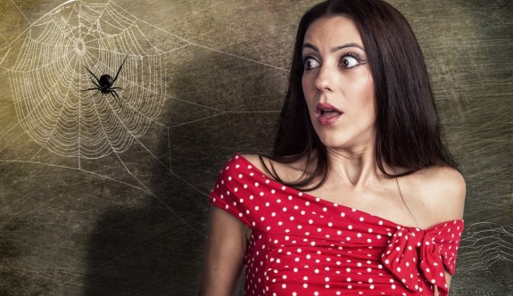 Örümceklerden neden korkarız?