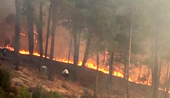 Orman Dairesi yangın tehlikesine dikkat çekti