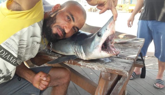 Mağusa’da iki köpek balığı yakalandı