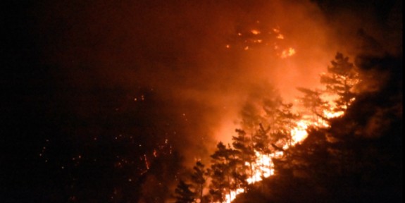 Muğla’da 350 Hektarlık Alanı Küle Çeviren Büyük Orman Yangını