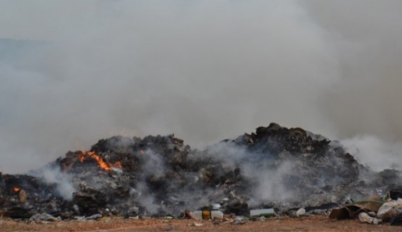 Çöplükler yakıldıkça doğa da yok oluyor