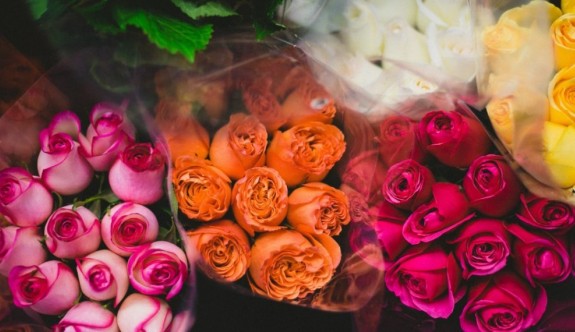 Tutkudan Karışık Duygulara: Güllerin Renklerine Göre Anlamları