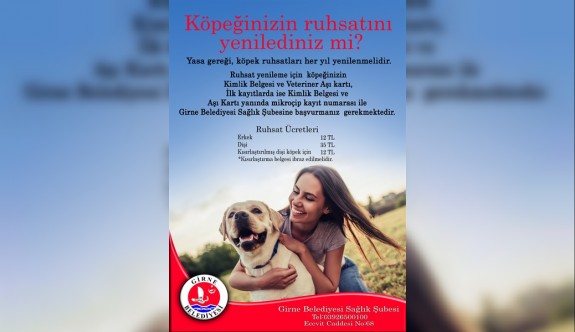 Girne Belediyesi, 'Köpek Bulundurma Ruhsatı' için çağrı yaptı