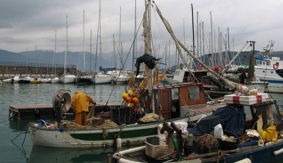 Güney'de balıkçılara 750 bin Euro’luk destek