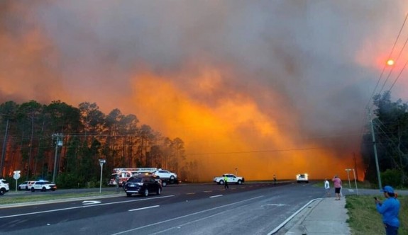 ABD'nin Florida eyaletinde örtü yangını