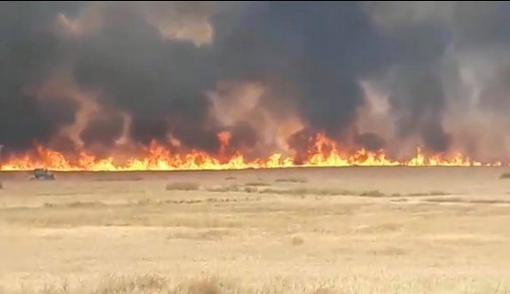 Alayköy'deki ara bölgede 1 km'lik alan yandı