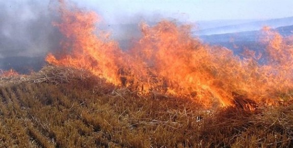 Cengizköy'de çıkan yangın 200 dönüm araziyi kül etti