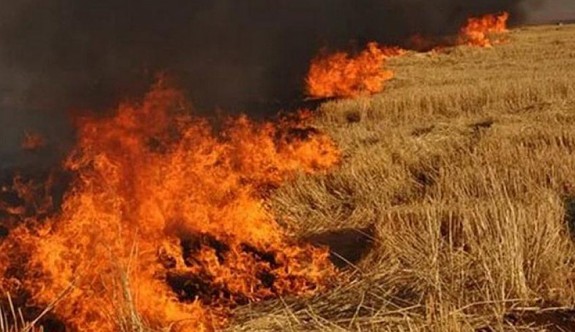 Geçitkale bölgesinde büyük arazi yangını