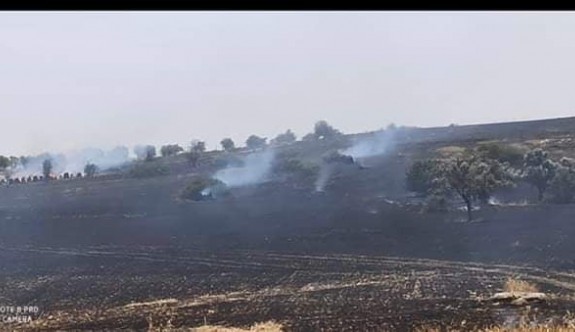 Gönendere - Pınarlı arasındaki yangın söndürüldü