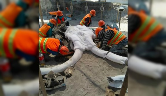 Meksika'da havalimanı inşaatında 15 bin yıllık mamut kemikleri bulundu