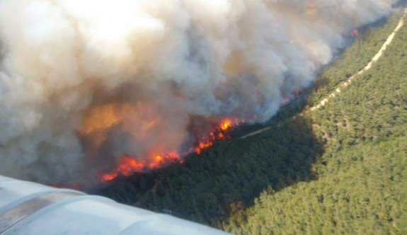 Gelibolu Yarımadası'nda orman yangını