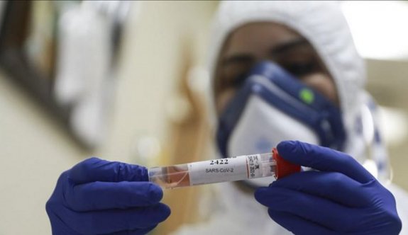 Güney'de 15 yeni koronavirüs vakası daha