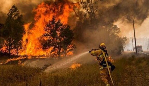 DOSYA: Türkiye’de ormanlar neden yanıyor?