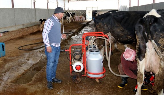 Hayvancılar, süt fiyatlarında düzenleme istiyor