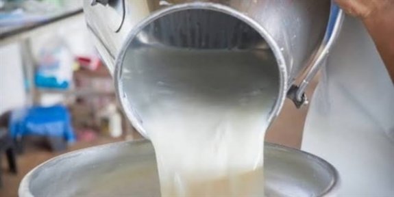 Süt üreticilerine kilo başına 25 kuruşluk ek destek