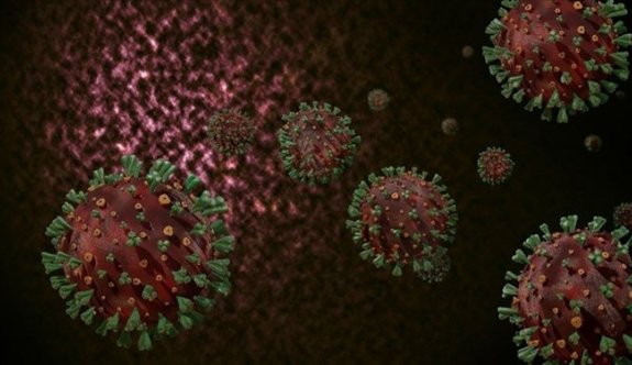 Bilim adamlarından Covid-19 virüsü için yeni bulgu