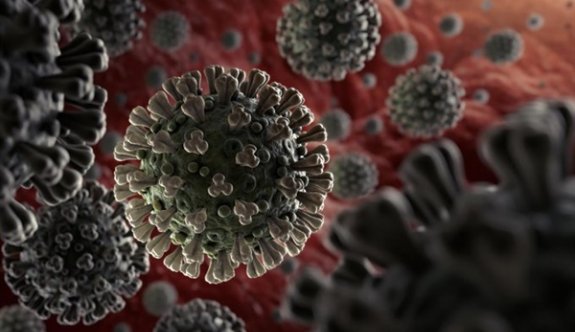 İngiltere'de Endişe Verici Bir Koronavirüs Mutasyonu Daha Bulundu