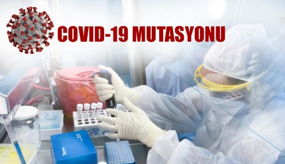 "Ülkede Covid-19’un varyantları ve bağışıklık durumu takip edilmeli"