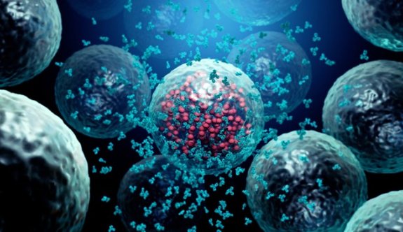 T hücresi bağışıklığı, corona virüsün yeni mutasyonlarına karşı koruma sağlıyor