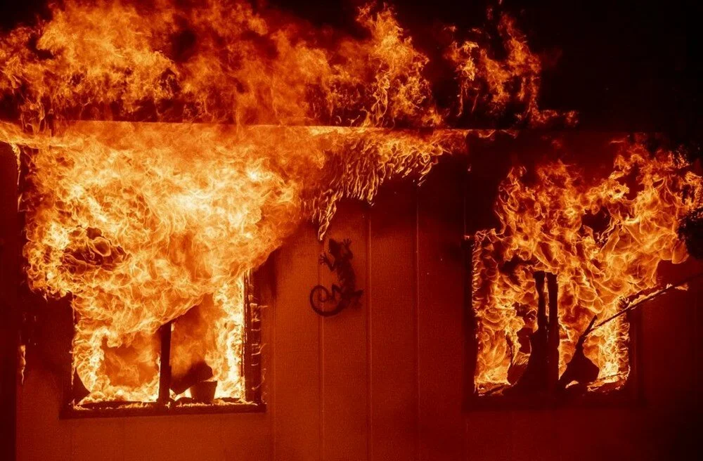 California'da orman yangınları evleri küle çevirdi