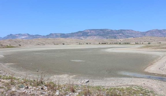 Gölet ve barajlardaki kuruma doğal yaşamı tehdit ediyor