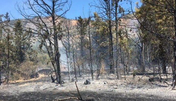 Ağırdağ bölgesindeki yangında 30 dönümlük ormanlık alan kül oldu