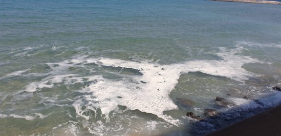 Biyologlar Derneği: Müsilajın ortaya çıkması için belirtilen üç temel şart Karpaz sahillerinde mevcut değil