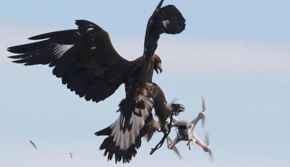 Fransa’da drone krizi: “Doğal yaşamı korkutmayı bırakın”