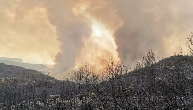 Türkiye'de 2 ilde 7 noktada yangınlar sürüyor