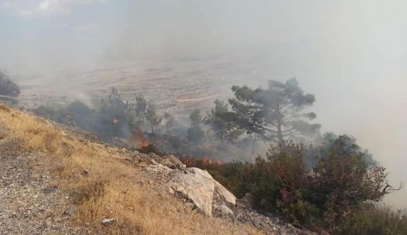 Alevkayası bölgesinde büyük yangın