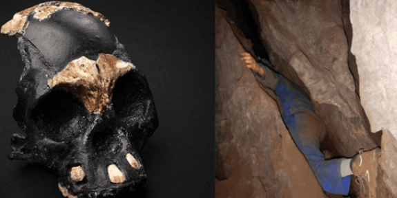335 bin yıllık çocuk kafatası bulundu