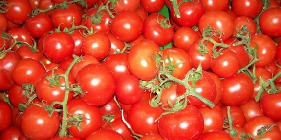 Çeri domates ve ıspanakta limit üstü kalıntı