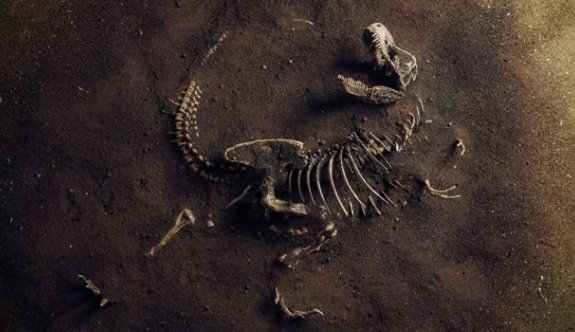 Dünyanın en uzun dinozoru bulunmuş olabilir