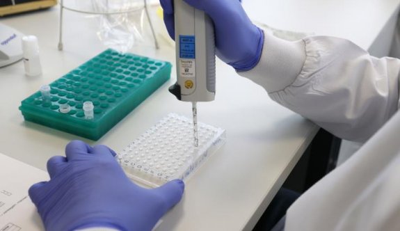 PCR ve hızlı testlerin Güney'e maliyeti ağır